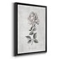 Vintage Botanical II - Modern Framed Canvas Print