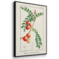 Turpin Tropical Botanicals I - Floater Framed Canvas Set