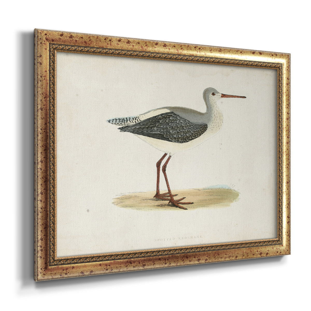 Morris Sandpipers I Premium Framed Canvas- Ready to Hang