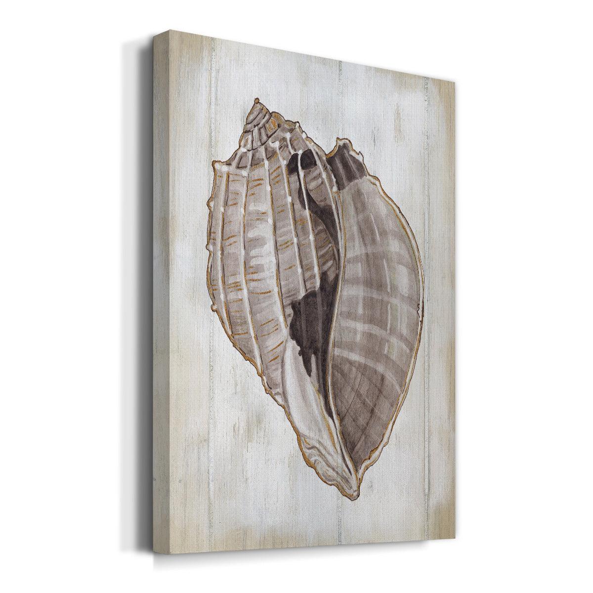 Ocean Cone II Premium Gallery Wrapped Canvas - Ready to Hang