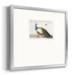 Standing Peacock Premium Framed Print Double Matboard