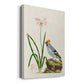 Amaryllis, Lily, and Waxwing, 1796 - Canvas Art Print