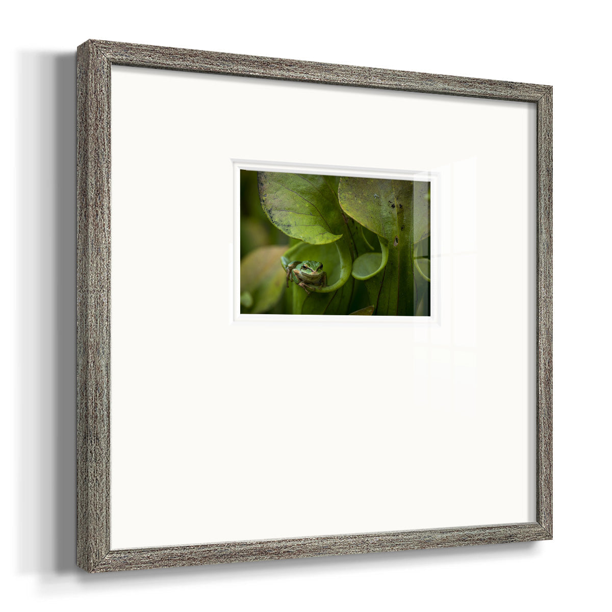 Arboreal Refuge Premium Framed Print Double Matboard