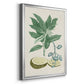 Buchoz Tropicals IV - Modern Framed Canvas Print