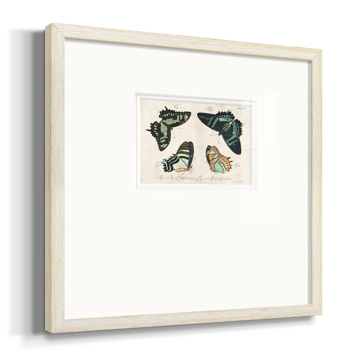 Crackled Butterflies III Premium Framed Print Double Matboard