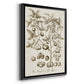 Sepia Botanical Journal II - Modern Framed Canvas Print