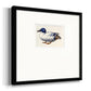 White and Blue Mallard Premium Framed Print Double Matboard