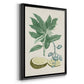 Buchoz Tropicals IV - Modern Framed Canvas Print