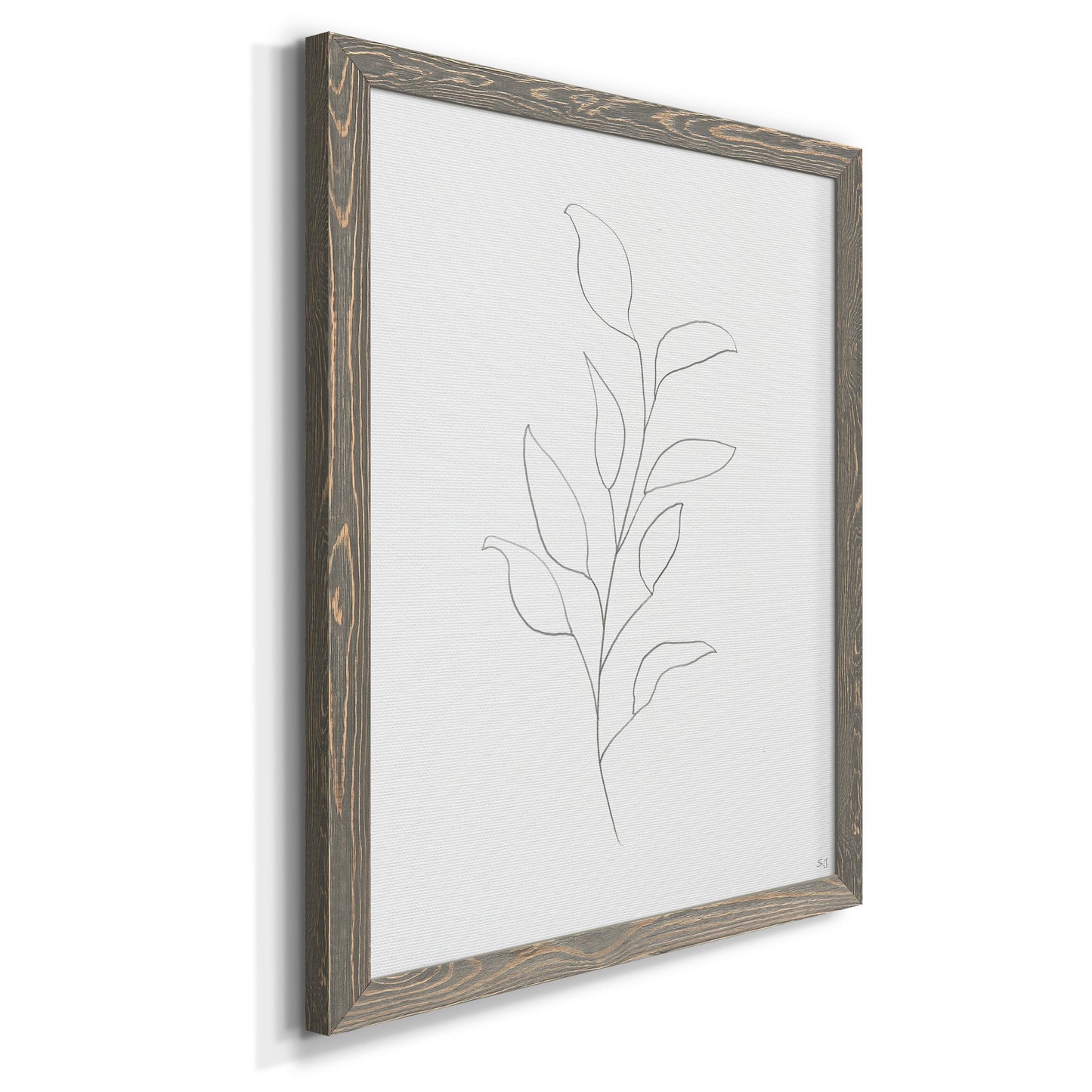 Botanical Gesture VI - Barnwood Framed Canvas Print