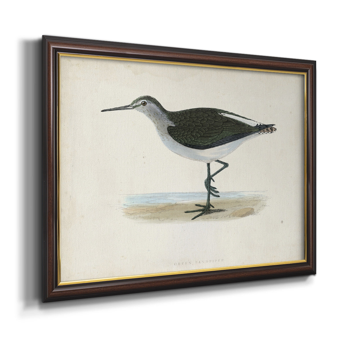 Morris Sandpipers VI Premium Framed Canvas- Ready to Hang