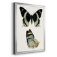 Antique Blue Butterflies I - Modern Framed Canvas Print