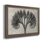 Vintage botanical plant study photograph by Karl Blossfeldt printed on canvas in an ornate traditional bronze frame.