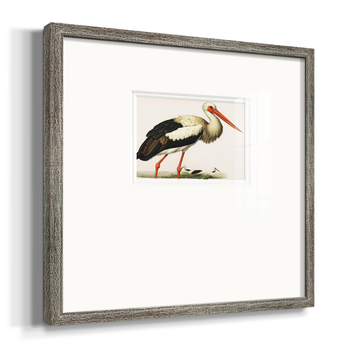 Odd Crane Premium Framed Print Double Matboard