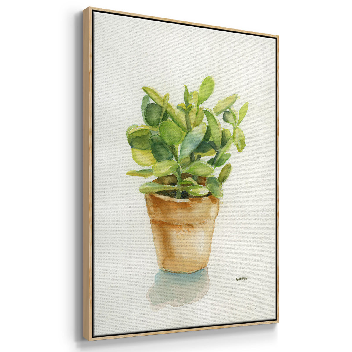 Succulent I - Framed Premium Gallery Wrapped Canvas L Frame - Ready to Hang