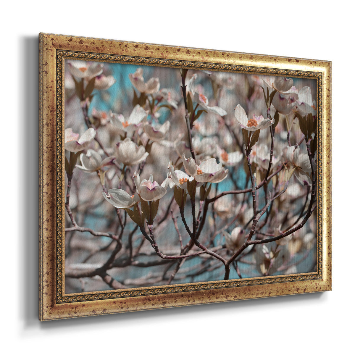 Dogwood Spring I Premium Framed Canvas- Ready to Hang