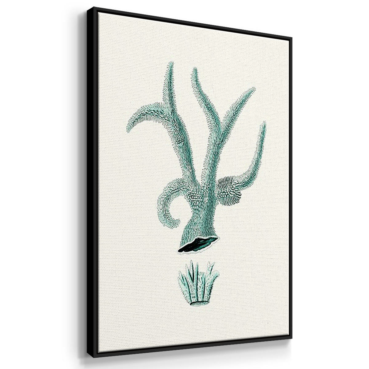 Antique Coastal Coral X - Framed Premium Gallery Wrapped Canvas L Frame 3 Piece Set - Ready to Hang