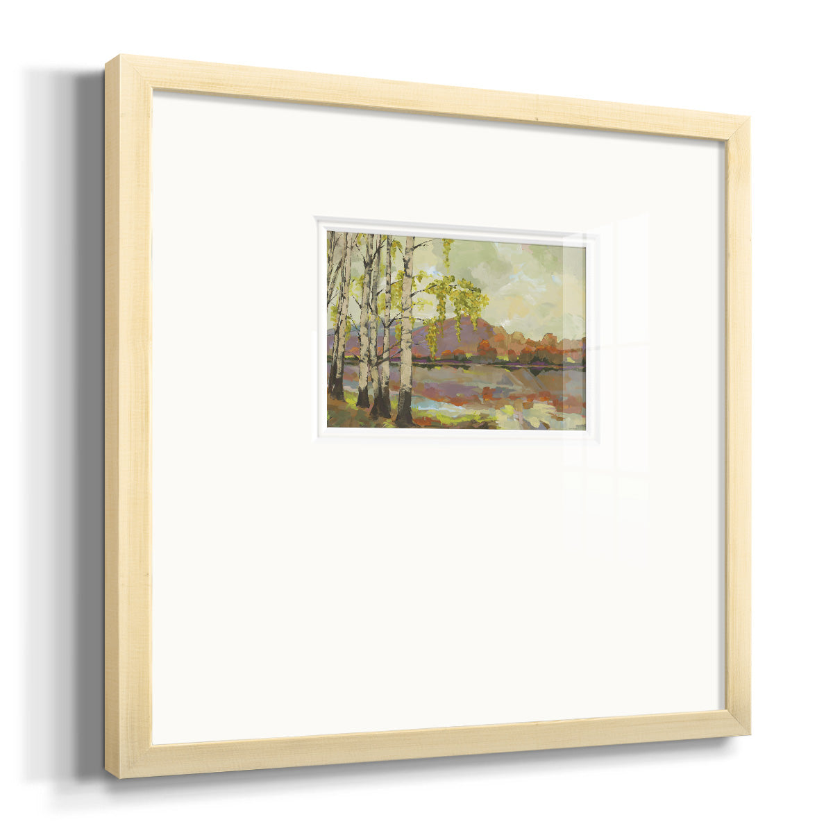 Birch Stand Premium Framed Print Double Matboard