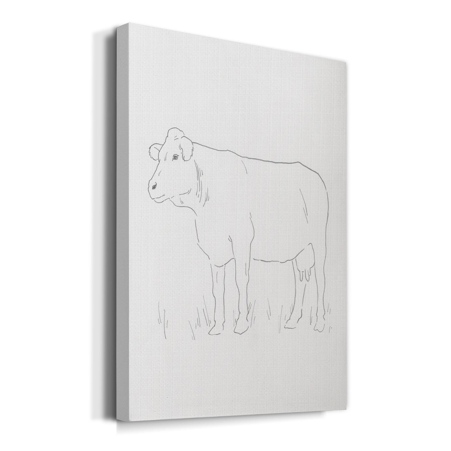 Limousin Cattle IV  Premium Gallery Wrapped Canvas - Ready to Hang