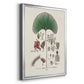 Botanical Society Ferns III - Modern Framed Canvas Print