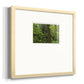 Calm of the Forest- Premium Framed Print Double Matboard