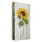 Sunflower in Autumn I - Premium Gallery Wrapped Canvas - Ready to Hang