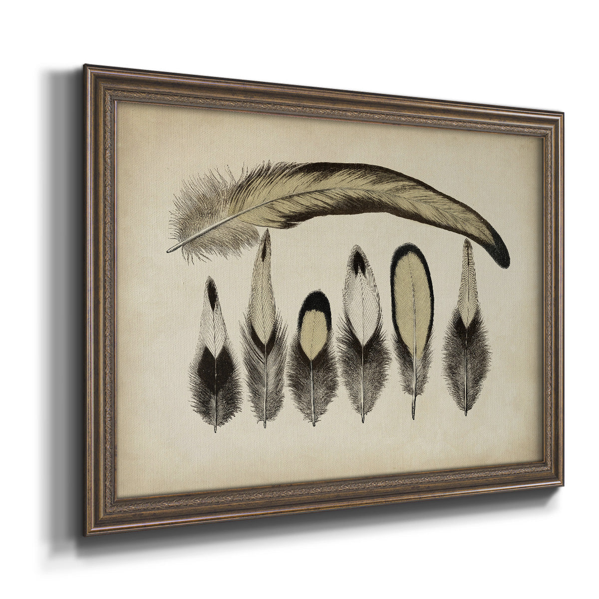 Vintage Feathers VII Premium Framed Canvas- Ready to Hang