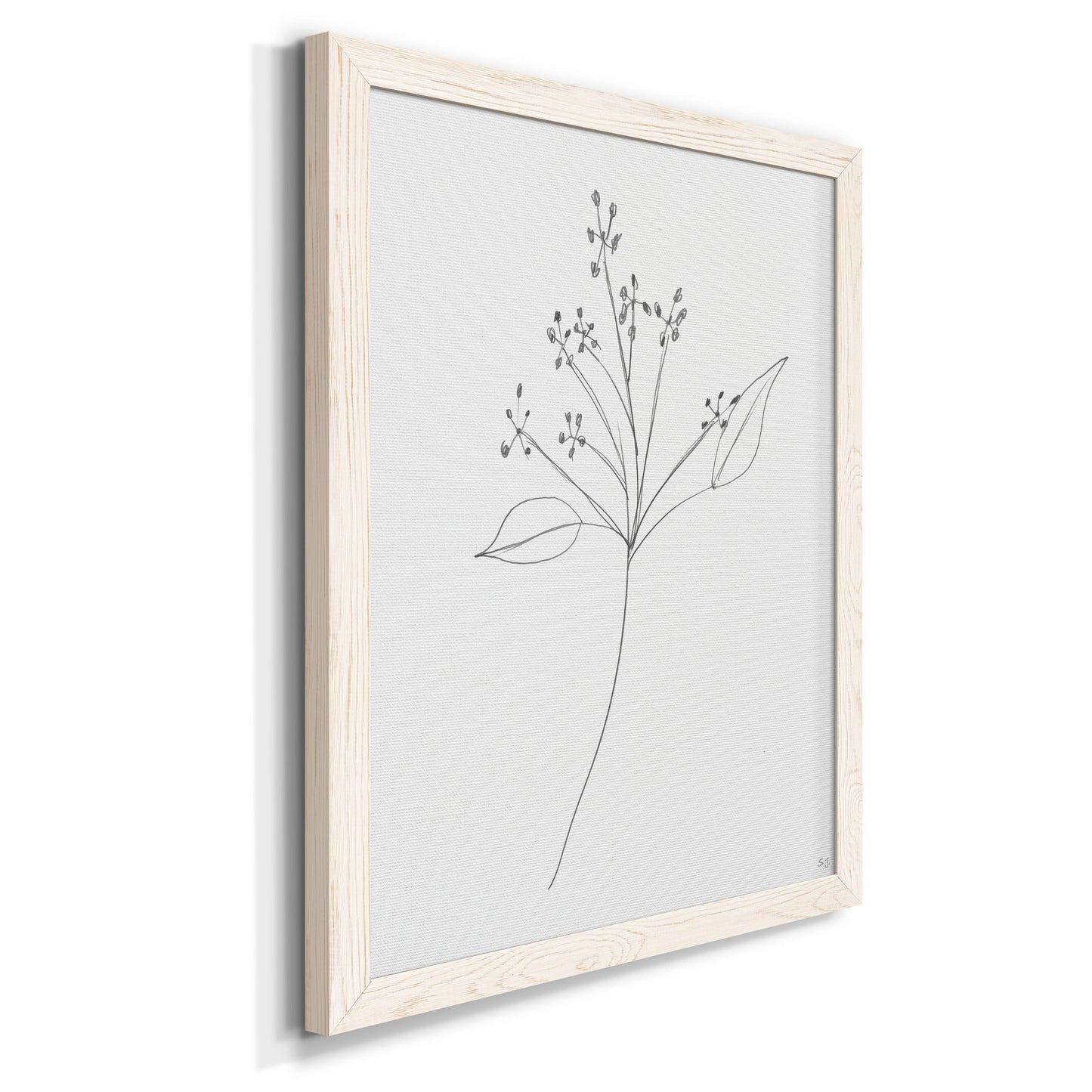 Botanical Gesture V - Barnwood Framed Canvas Print