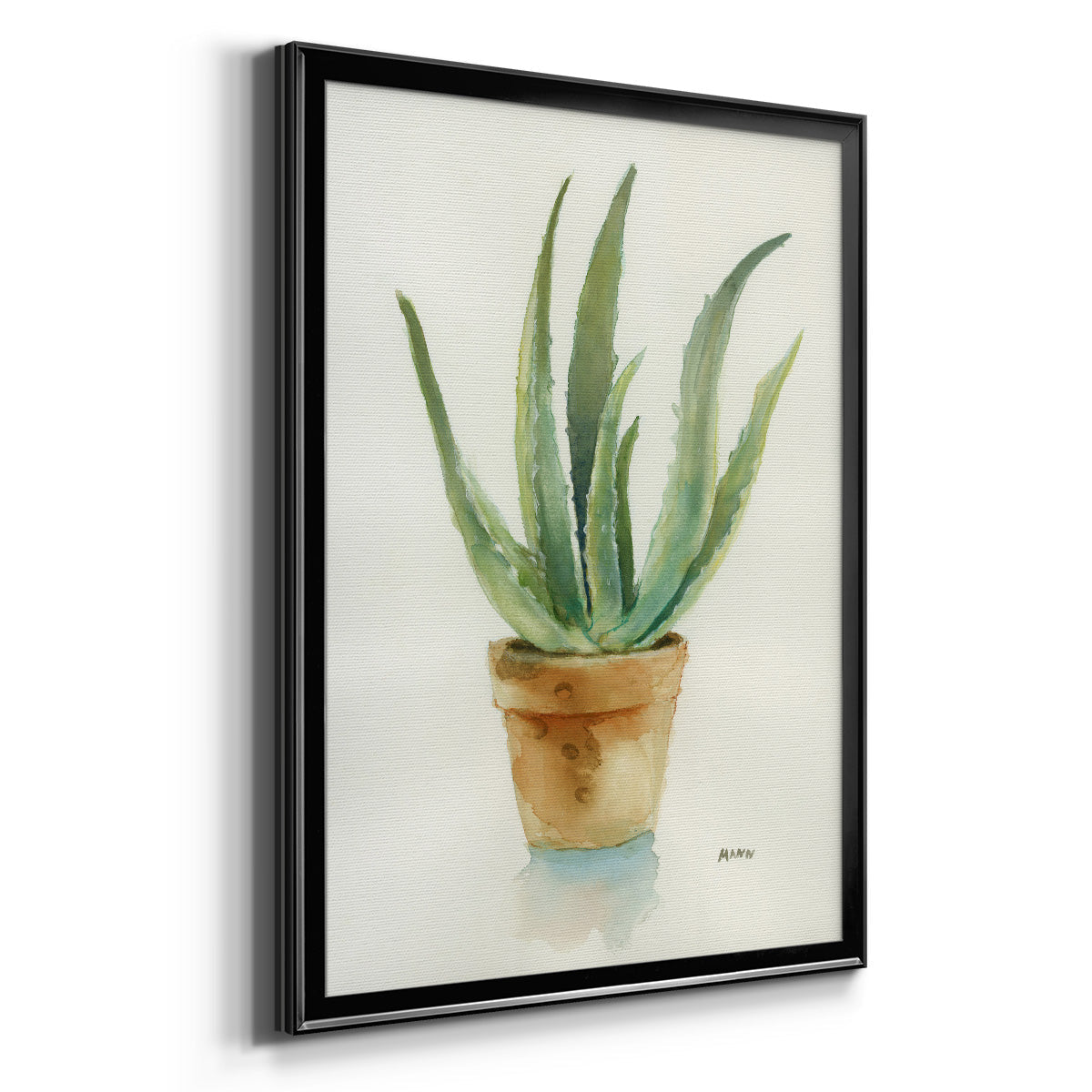 Succulent IV - Modern Framed Canvas Print