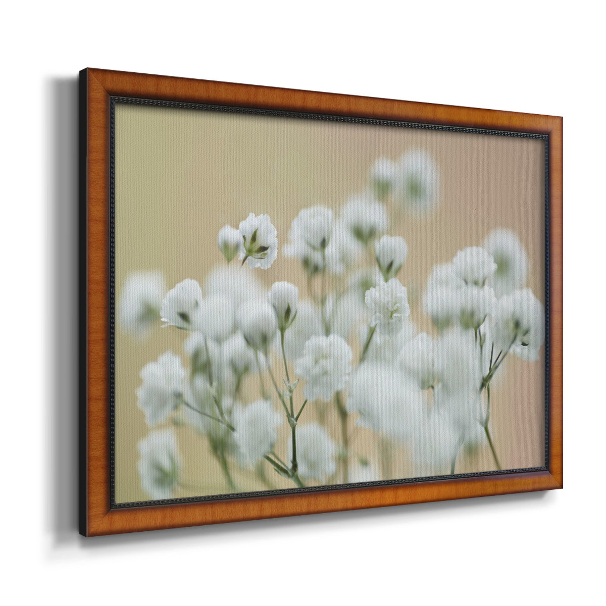 Baby's Breath Study II Premium Framed Canvas- Ready to Hang