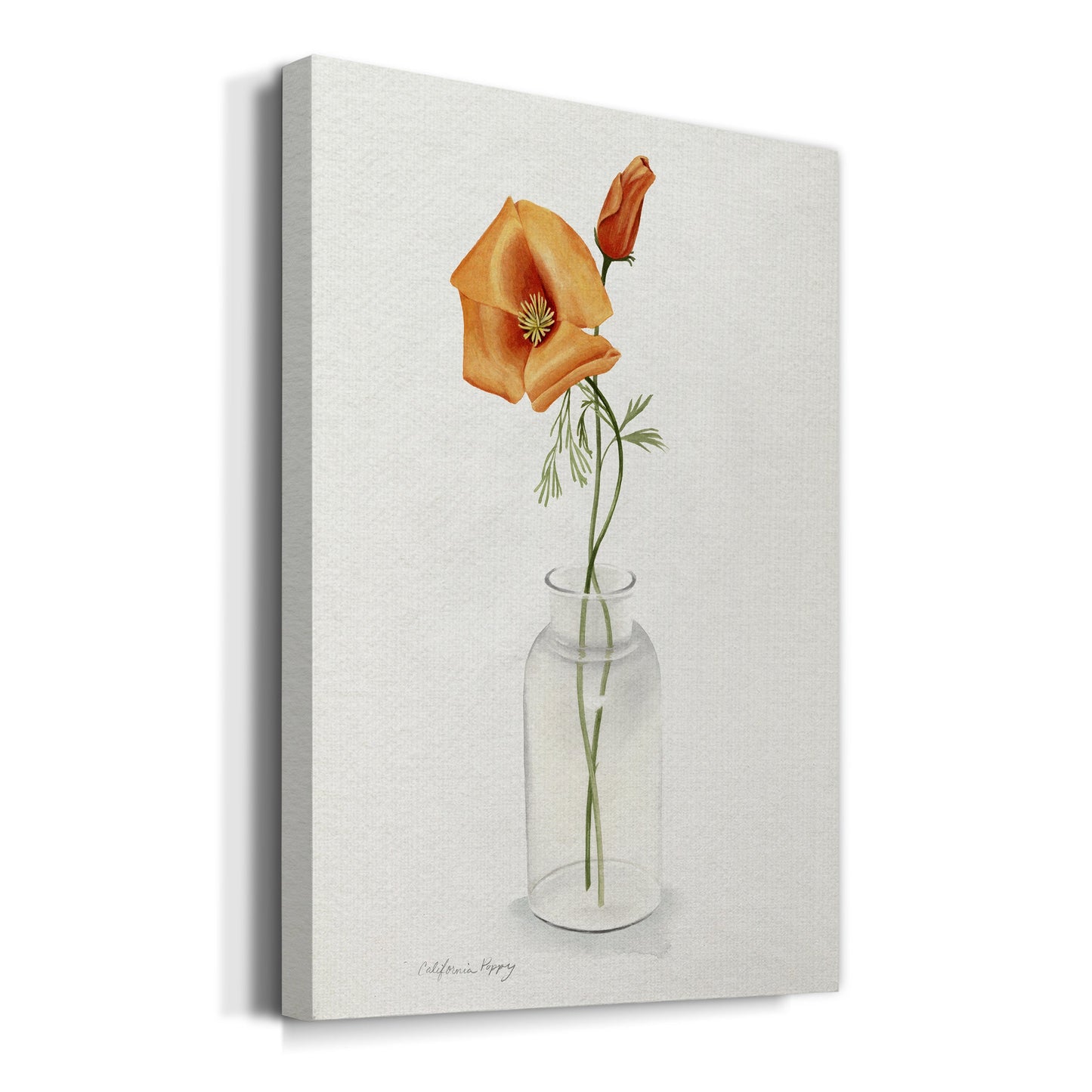 California Poppy Vase I Premium Gallery Wrapped Canvas - Ready to Hang