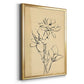 Magnolia Sketch II - Modern Framed Canvas Print