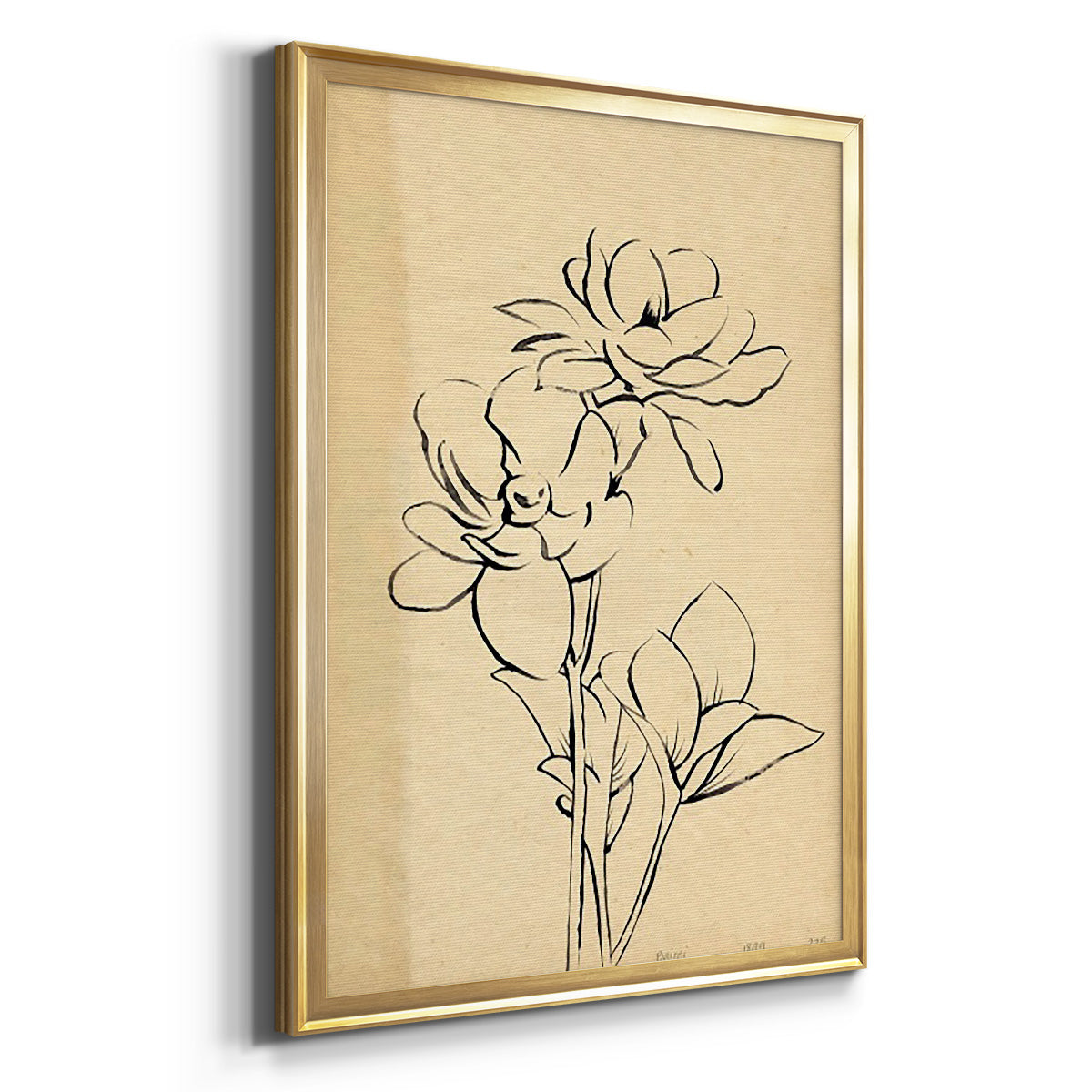 Magnolia Sketch II - Modern Framed Canvas Print