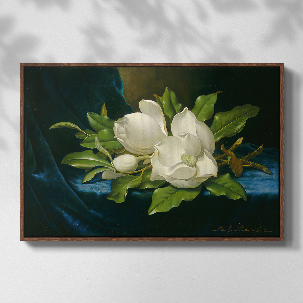 Giant Magnolias on a Blue Velvet Cloth, c. 1890 - Floater Framed Canvas Print