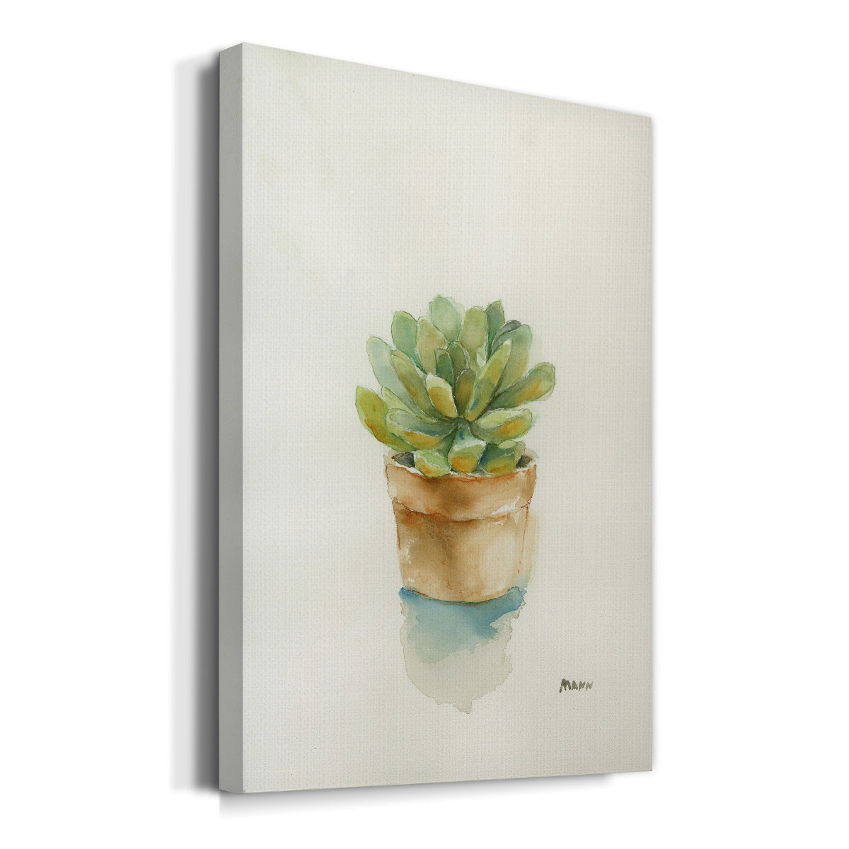 Succulent II - Canvas Art Print