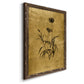 Gold Sketch Botanical I - Premium Canvas Framed in Barnwood - Ready to Hang