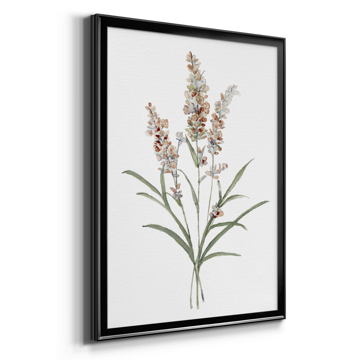 Dainty Botanical I - Modern Framed Canvas Print