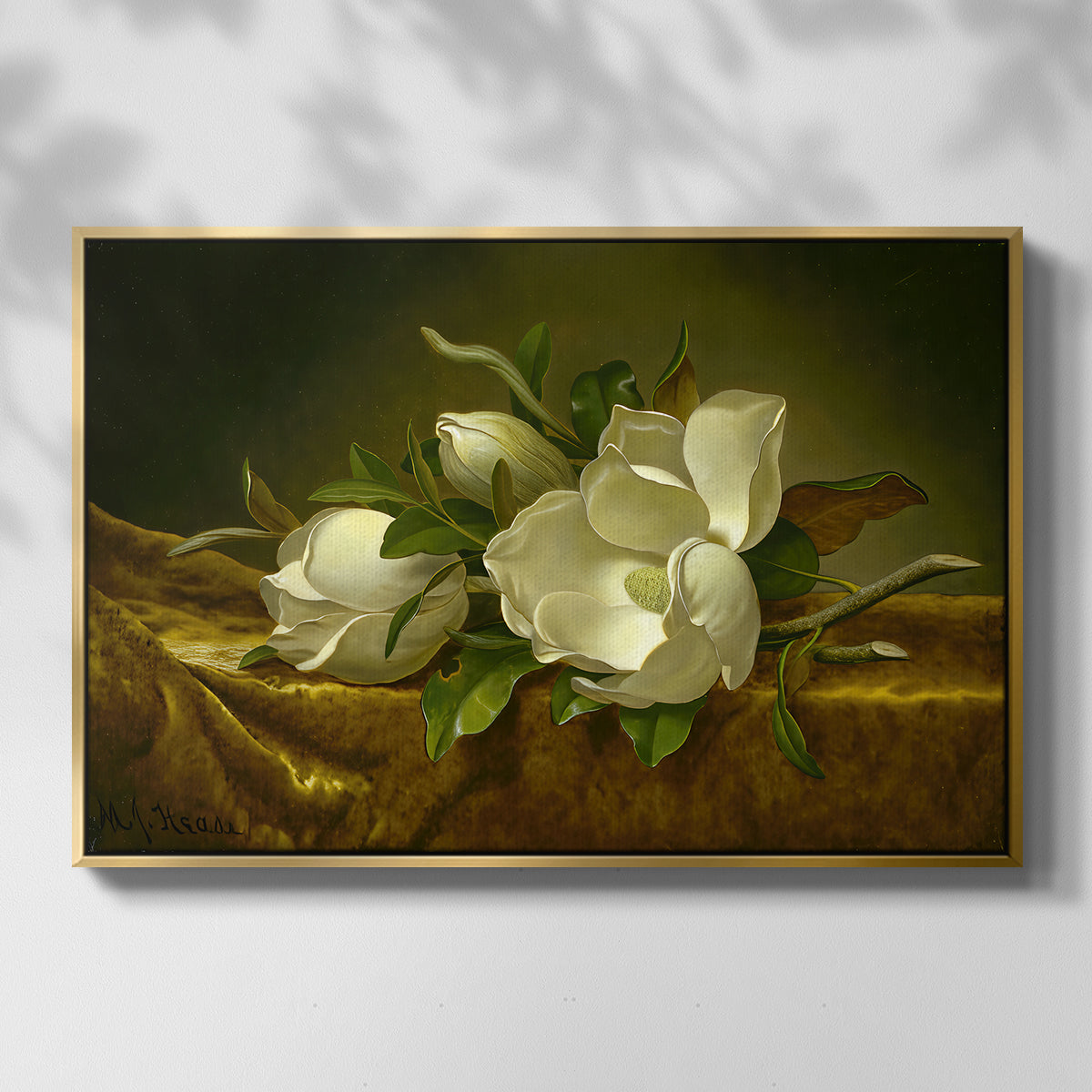 Magnolias on Gold Velvet Cloth, c. 1888-1890 - Floater Framed Canvas Print