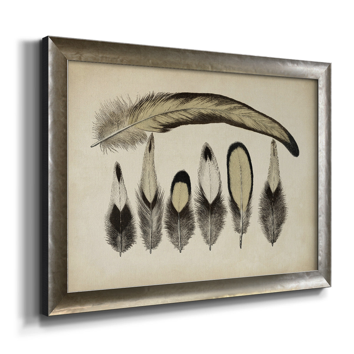 Vintage Feathers VII Premium Framed Canvas- Ready to Hang