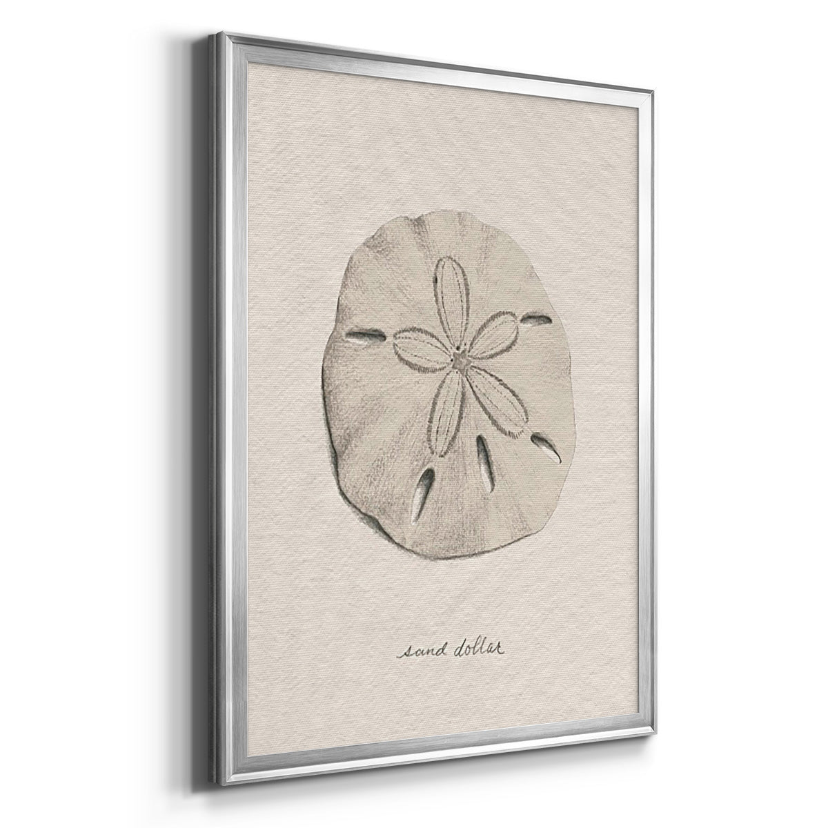 Shore Treasure Study III - Modern Framed Canvas Print