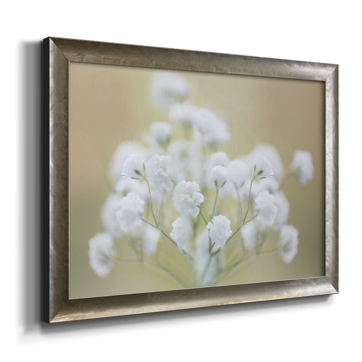 Baby's Breath Study I Premium Framed Canvas- Ready to Hang