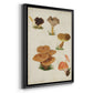 Mushroom Species V - Modern Framed Canvas Print