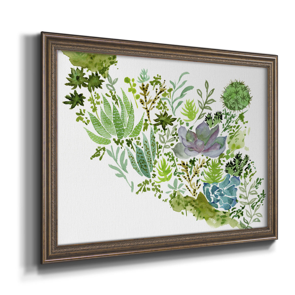 Succulent Field II - Ornate Framed Canvas Print