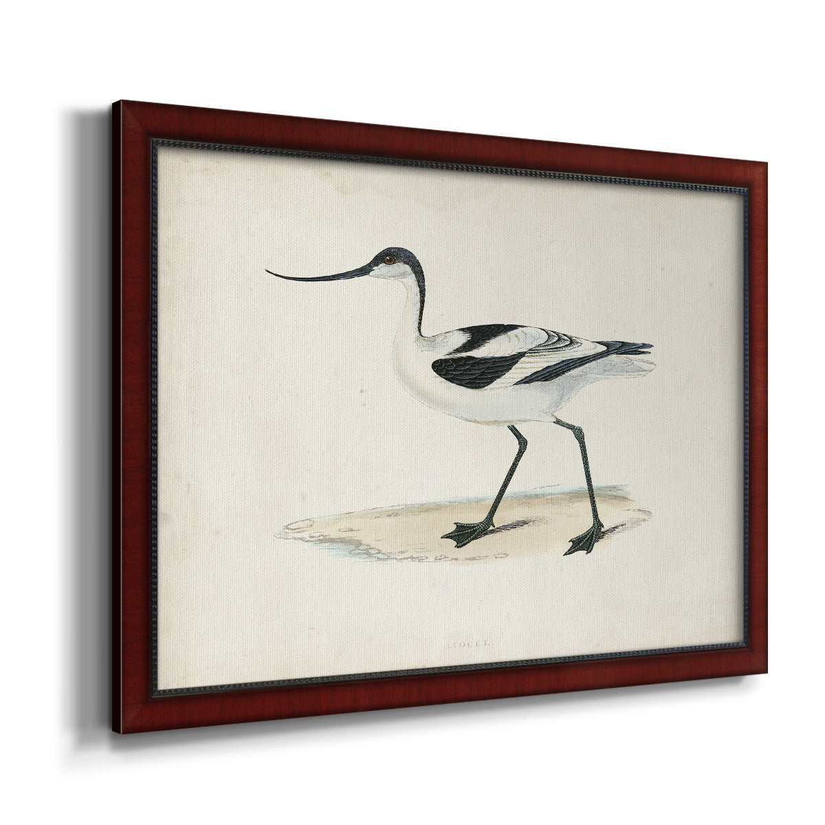 Morris Sandpipers IV Premium Framed Canvas- Ready to Hang