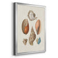 Knorr Shells & Coral I - Modern Framed Canvas Print