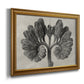 Blossfeldt Botanical VIII Premium Framed Canvas- Ready to Hang