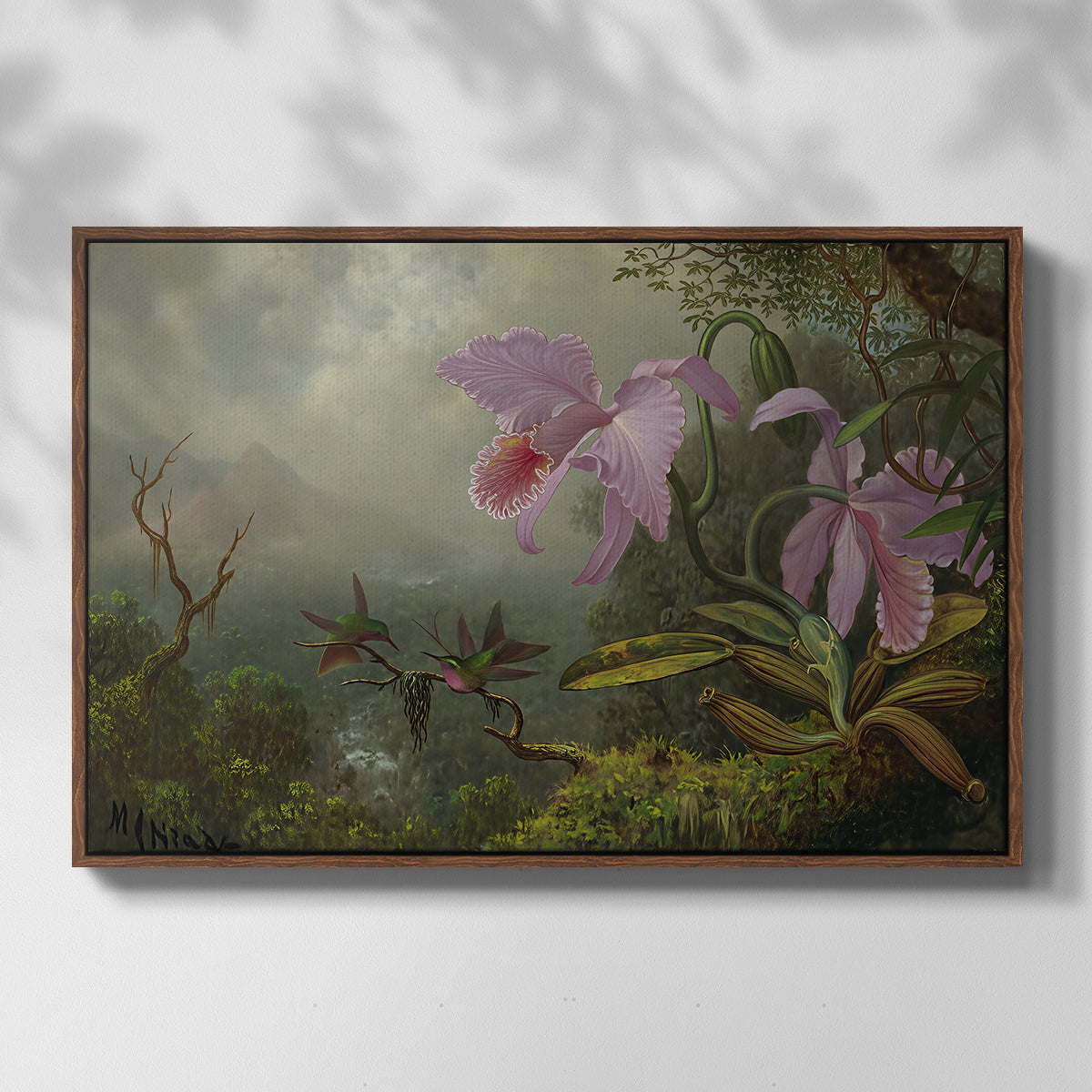 Two Sun Angel Hummingbirds on a Branch, c. 1890-1904 - Floater Framed Canvas Print