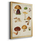 Mushroom Species II - Modern Framed Canvas Print