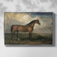 Eagle, A Celebrated Stallion, 1809 - Floater Framed Canvas Print