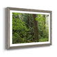 Calm of the Forest - Barnwood Framed Art Print