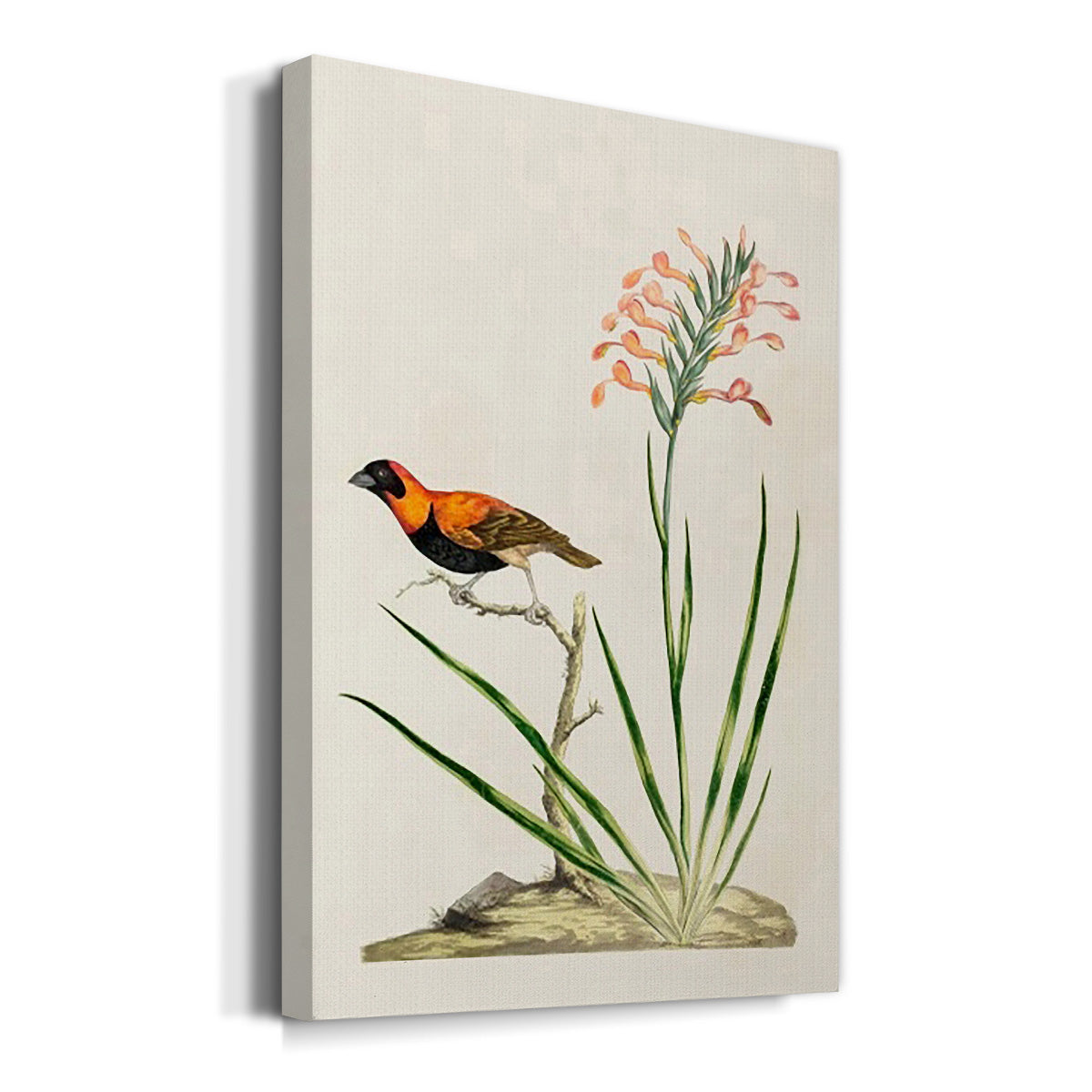 Bird in Habitat III Premium Gallery Wrapped Canvas - Ready to Hang